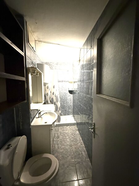 Dristor, Fizicienilor, Kaufland